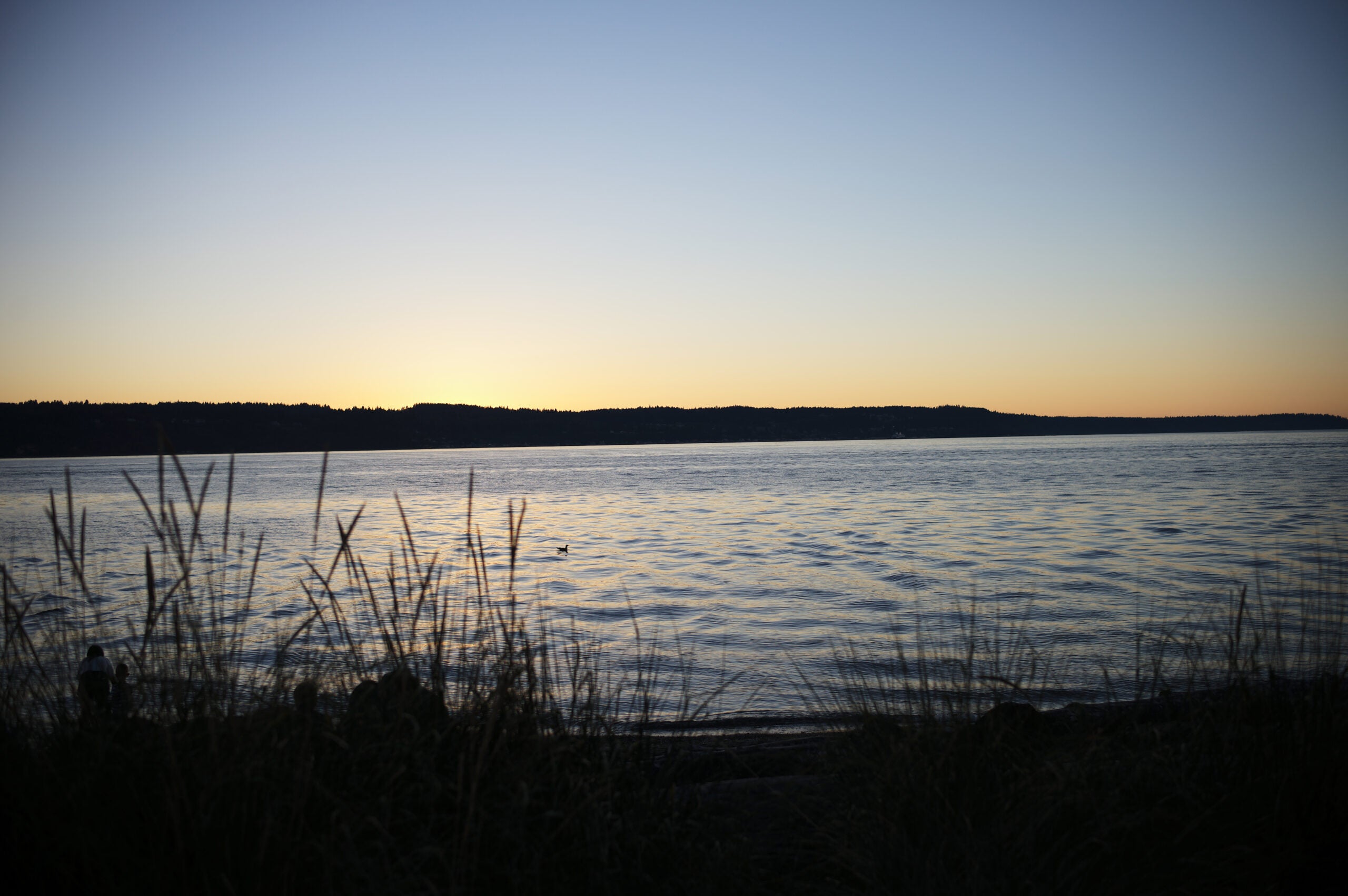 Sunset scene with noticeable vingetting